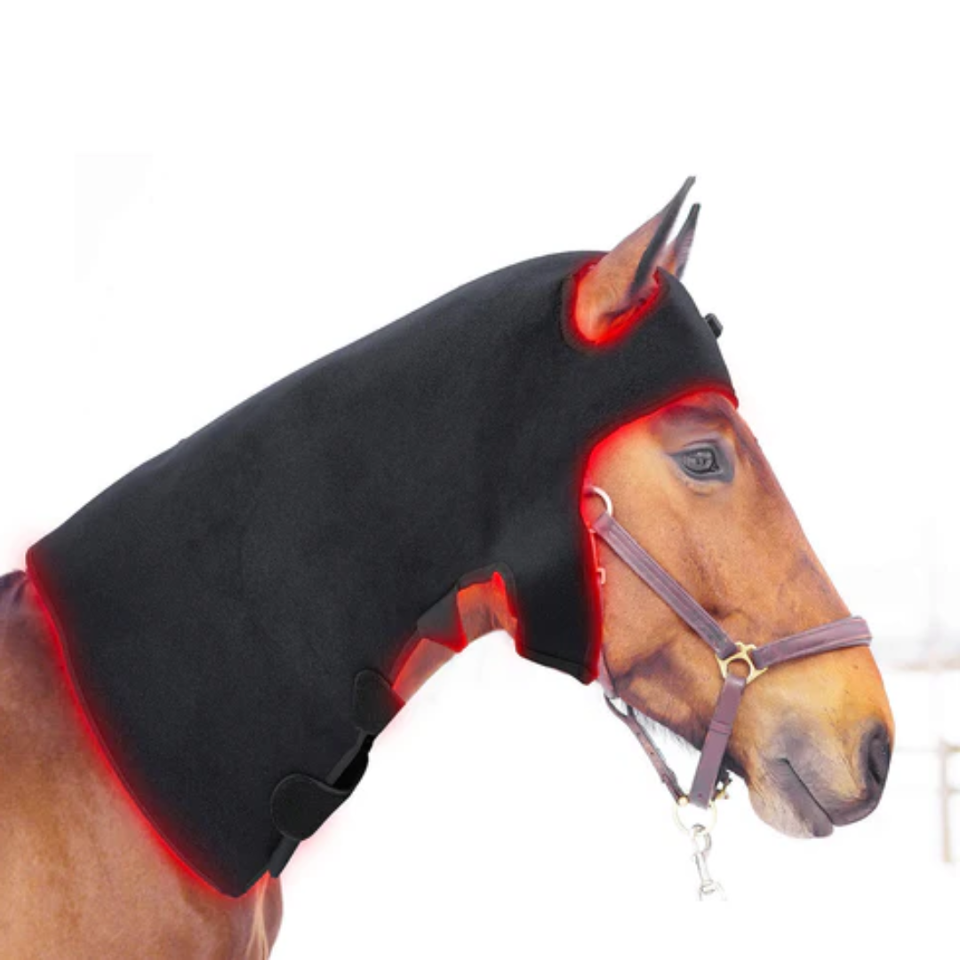 Redvitality™ Equine Red Light Therapy Poll Cap