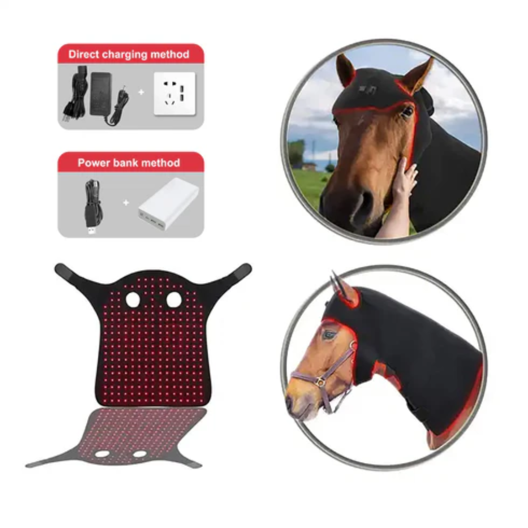 Redvitality™ Equine Red Light Therapy Poll Cap