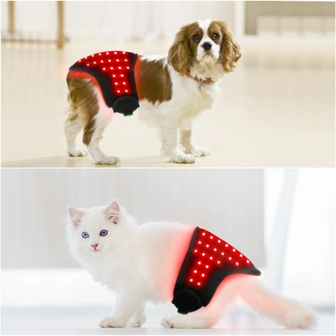 RedVitality™Red Infrared Light Therapy Wrap for Dogs and Cats