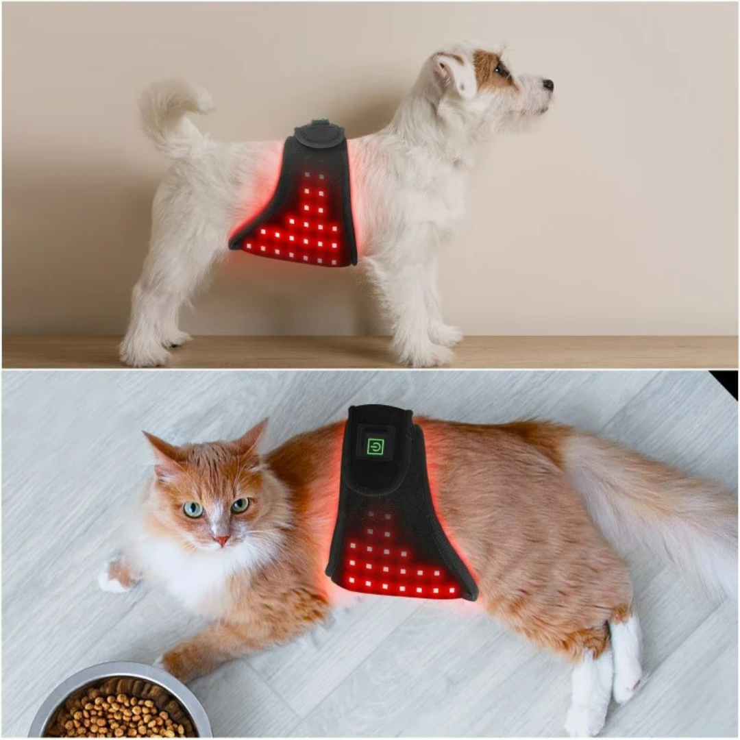 RedVitality™Red Infrared Light Therapy Wrap for Dogs and Cats