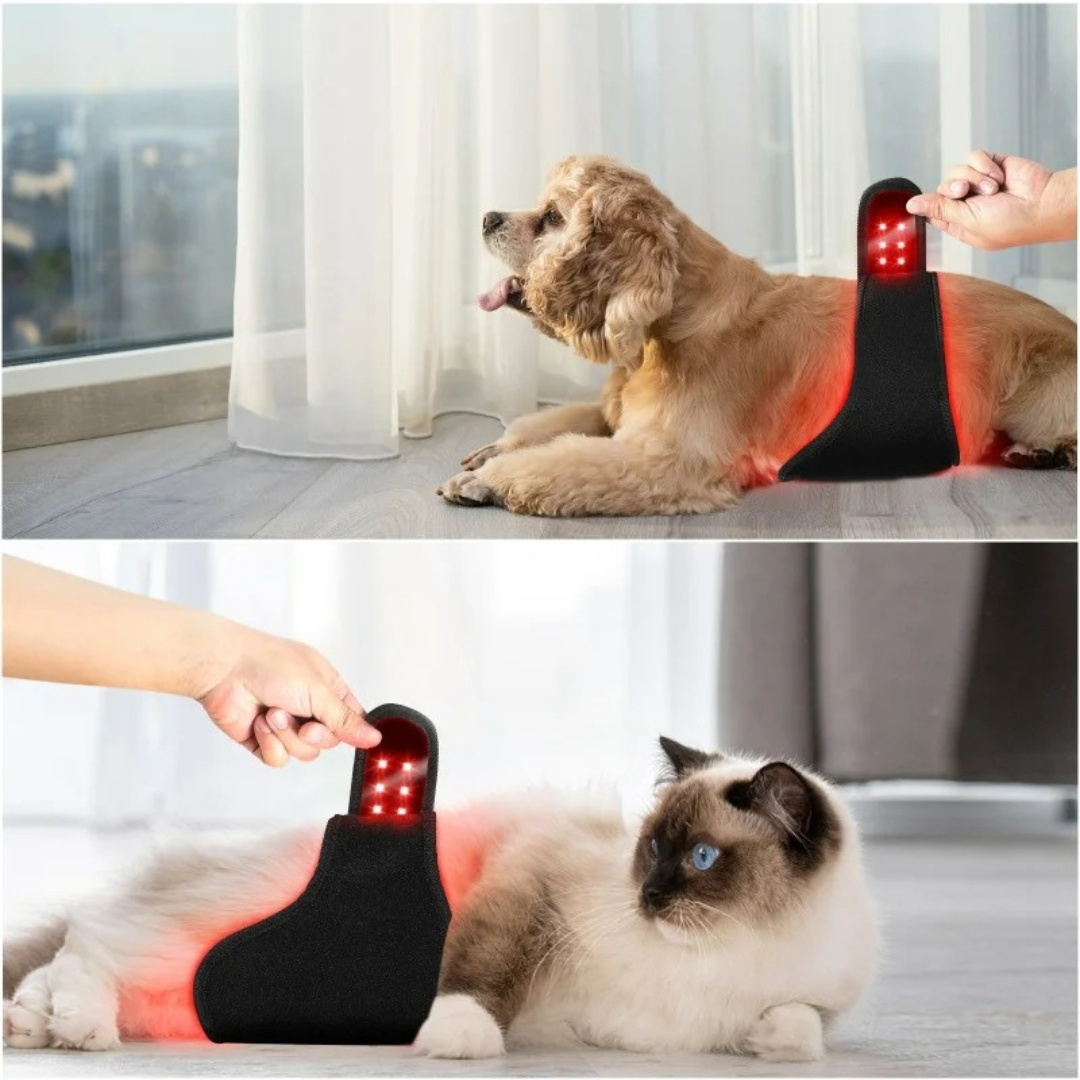 RedVitality™Red Infrared Light Therapy Wrap for Dogs and Cats