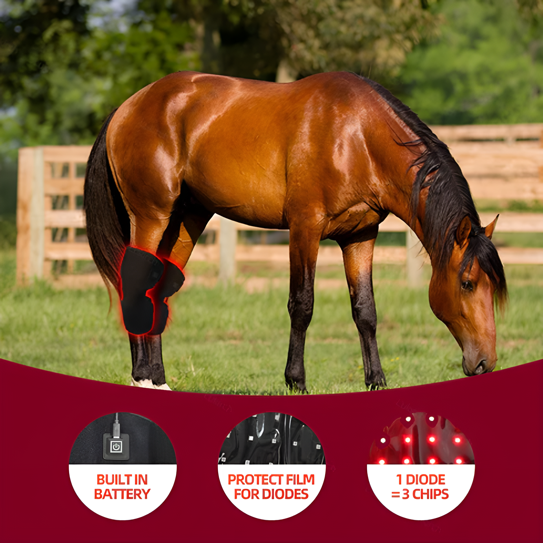 Redvitality™ Equine Red Infrared Light Therapy Hock Wrap
