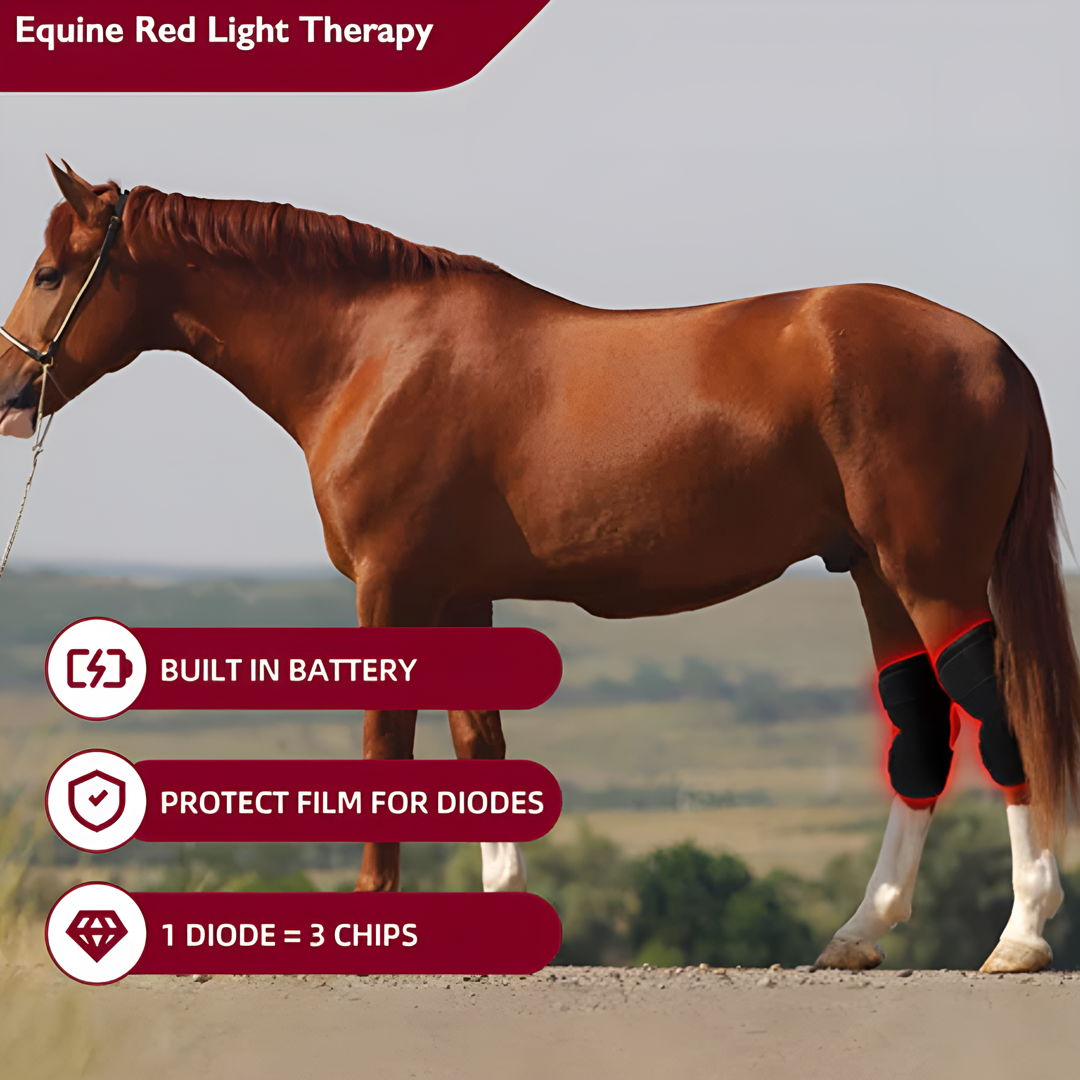 Redvitality™ Equine Red Infrared Light Therapy Hock Wrap