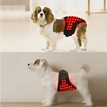 RedVitality™Red Infrared Light Therapy Wrap for Dogs and Cats