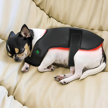 RedVitality™ Red Light Therapy Mat for Dogs and Cat at Home