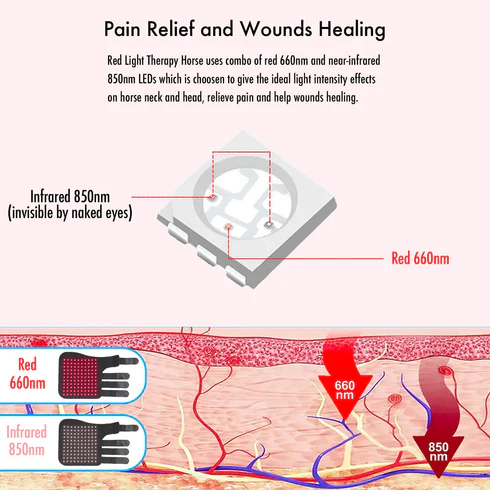 Redvitality™ Equine Red Infrared Light Therapy Leg Wrap