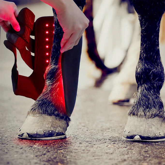 Redvitality™ Equine Red Infrared Light Therapy Leg Wrap
