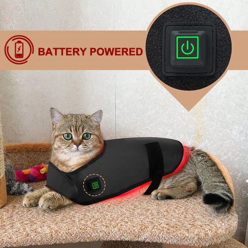 RedVitality™ Red Light Therapy Mat for Dogs and Cat at Home