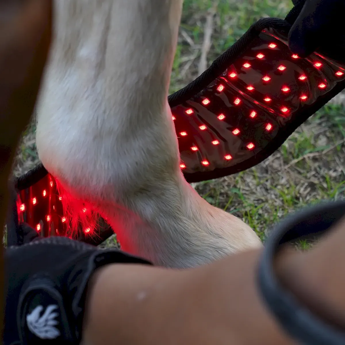 Redvitality™ Equine Red Infrared Light Therapy Hoof Wrap