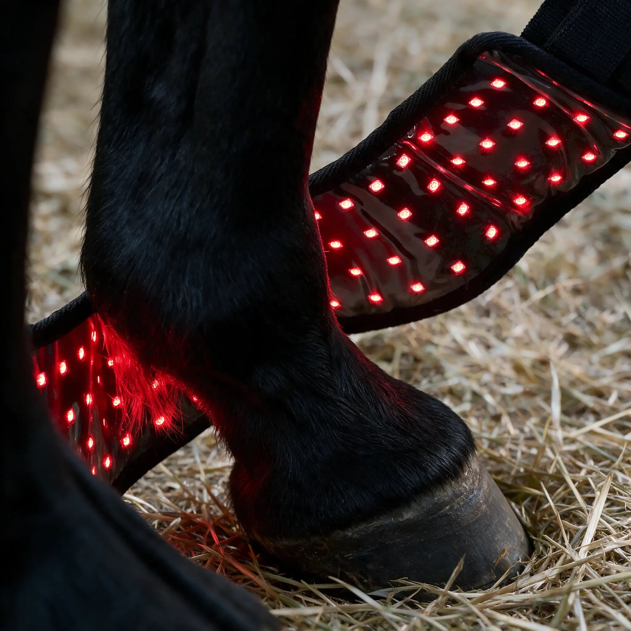 RedVitality™ EquiHoof