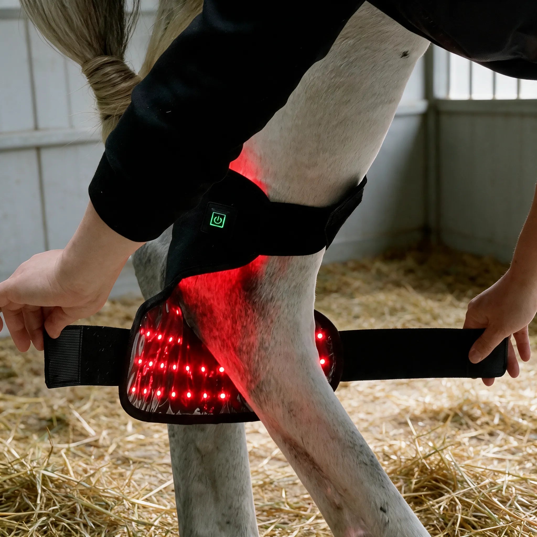 RedVitality™ EquiHock