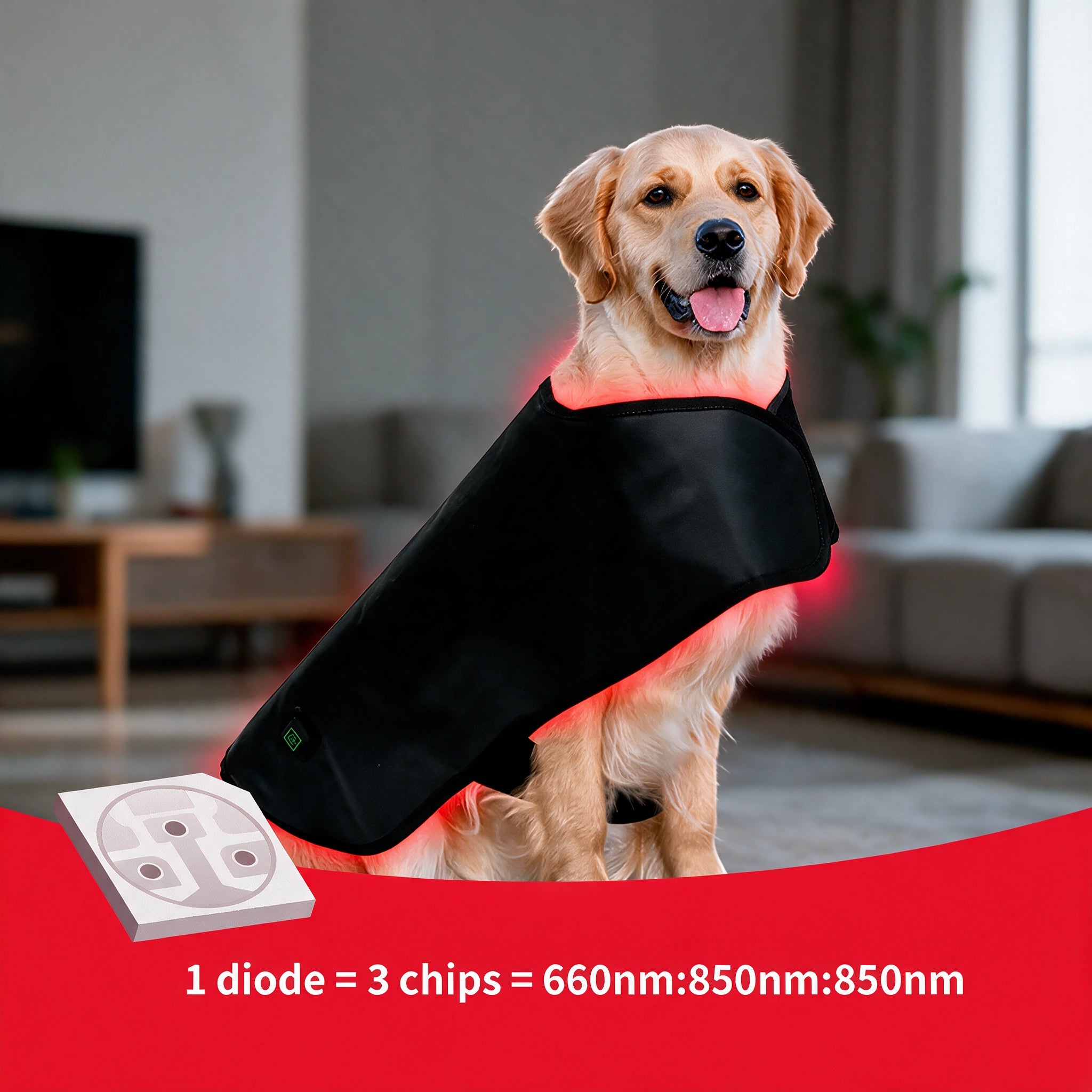 Red Light+ Infrared Therapy Wrap For Dogs&Cats RedVitality™