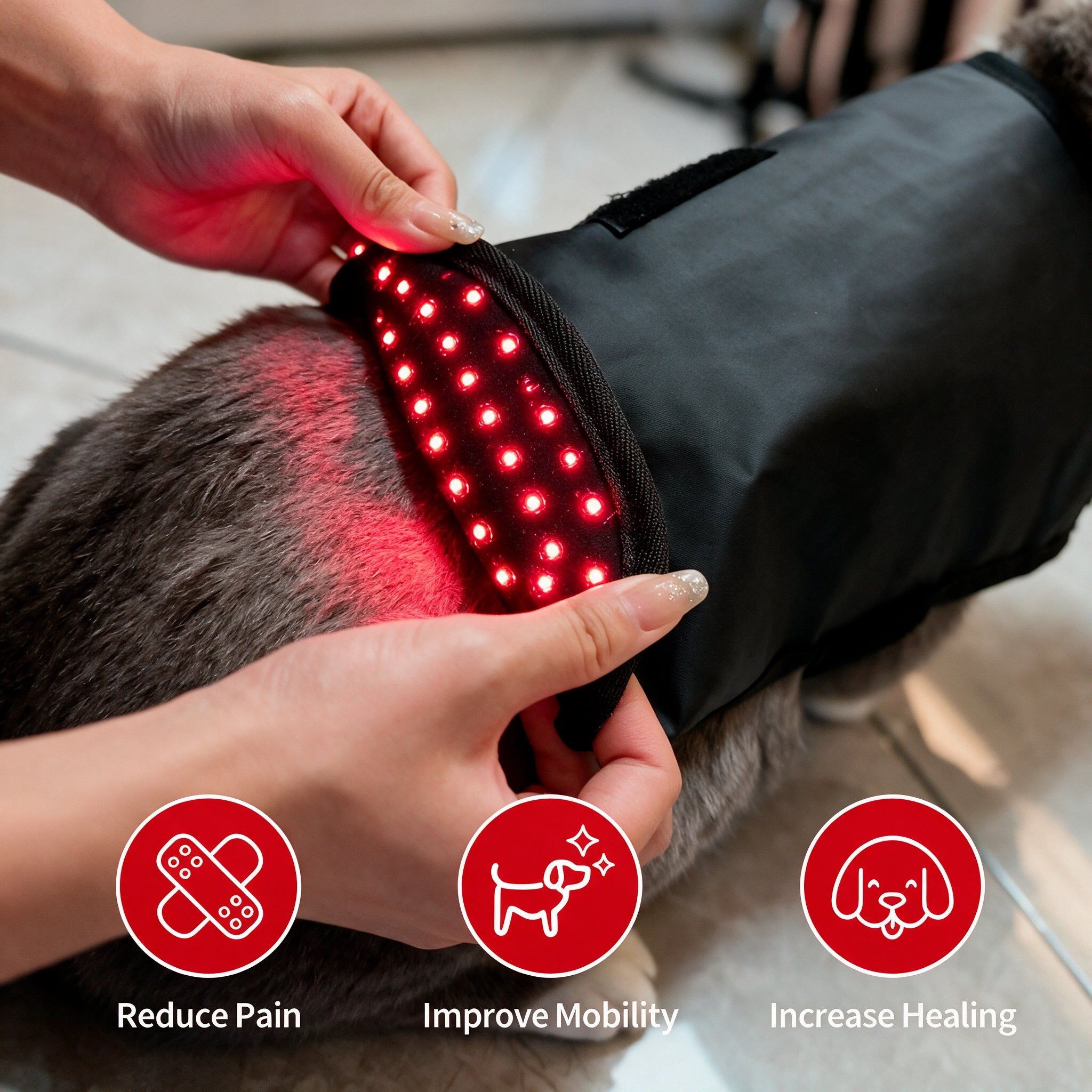Red Light+ Infrared Therapy Wrap For Dogs&Cats RedVitality™