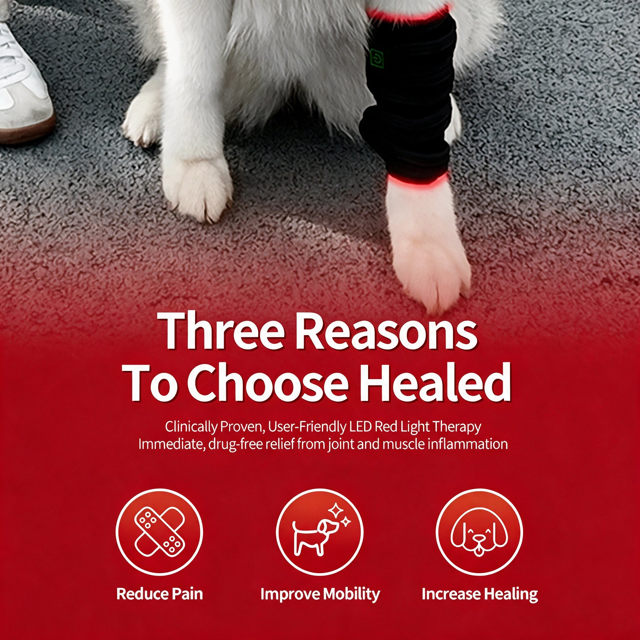 RedVitality™ Dog Leg